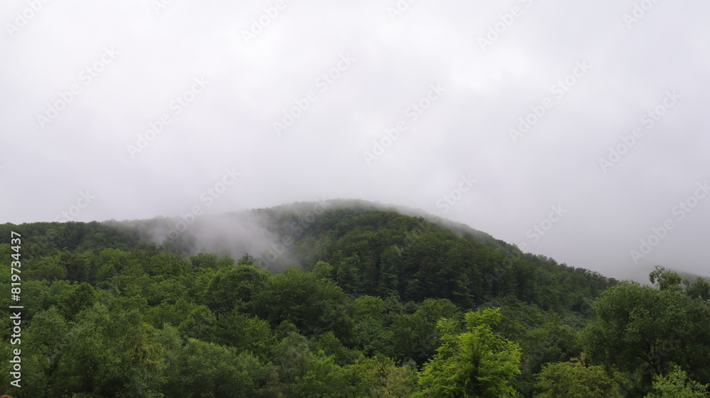 fog in the mountains