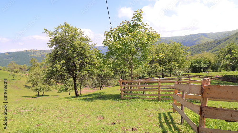 landscape with a fence