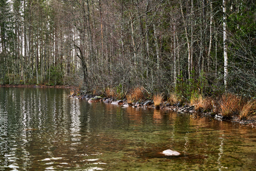 Serene lake surrounded by lush trees along the shore Serene lake surrounded by lush trees along the shore