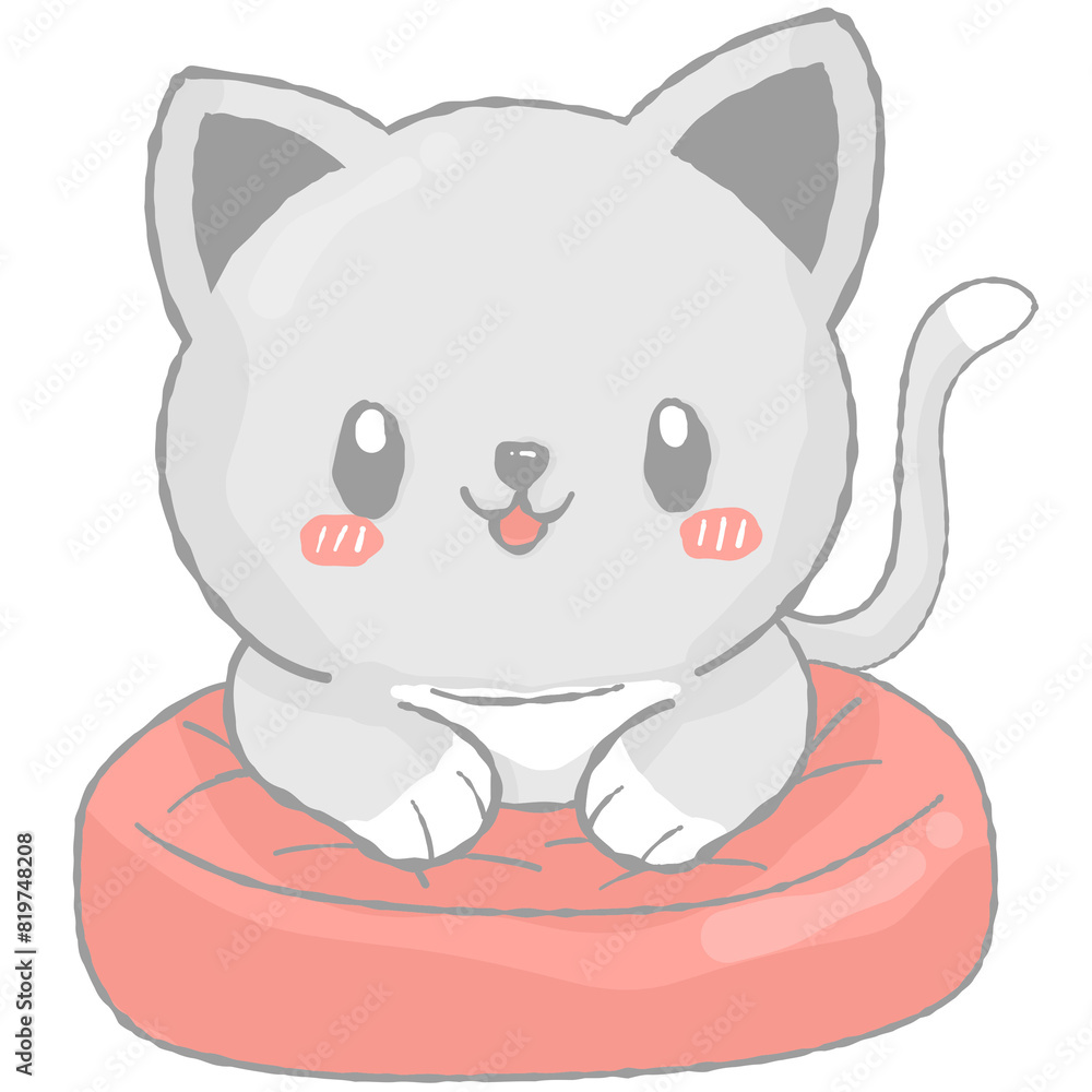Cat Cat