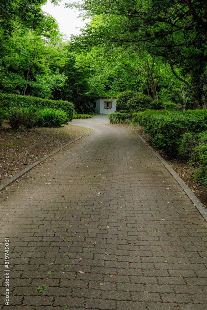 緑に囲まれた遊歩道、緑地公園