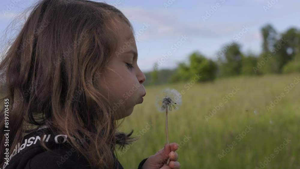 Side view portrait of a Caucasian girl blowing the dandelion seeds in the field with blur background Side view portrait of a Caucasian girl blowing the dandelion seeds in the field with blur background