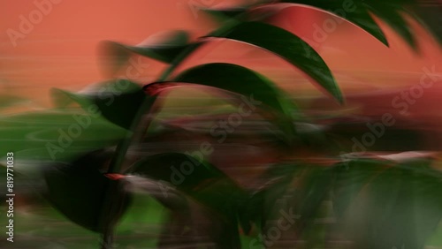 A fantastic flower blooms. 3D motion footage.