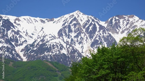 Wallpaper Mural 新緑の大出公園から眺めた北アルプス Torontodigital.ca