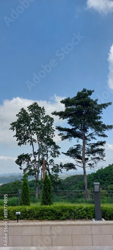 애기봉생태공원에서 찍은 사진입니다.