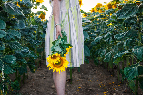 Woman wearing summer dress from recycled material fabric and holding sunflower in agricultural field. Concept of sustainable fashion and lifestyle