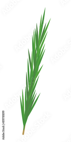 A sprig of rosemary for garnishing drinks. Vector icon.