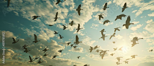 A flock of birds takes flight under a brilliant sun, scattering across the sky.