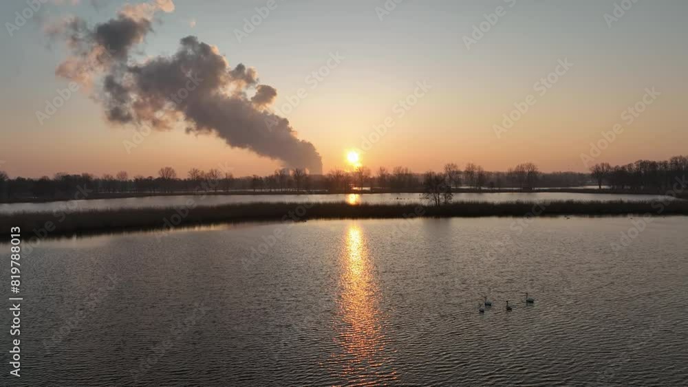 geese swimming in flooded river in nature landscape at sunset time in Peitz Brandenburg, Germany geese swimming in flooded river in nature landscape at sunset time in Peitz Brandenburg, Germany