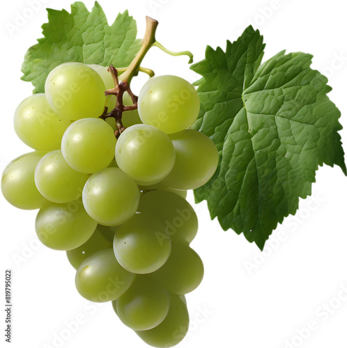 A bunch of green grapes with a green leaf attached. photo