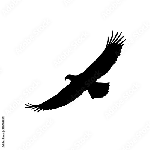 Eagle flying silhouette isolated on white background. Eagle flying icon vector illustration design.