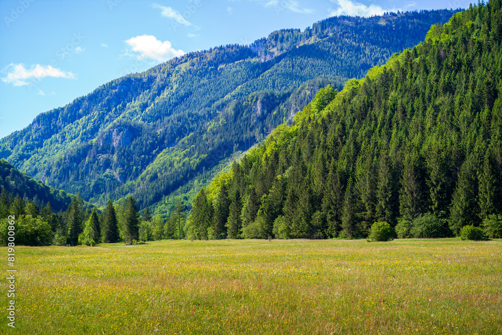  meadow at jaidhausalm in the upper austrian national park kalkalpen