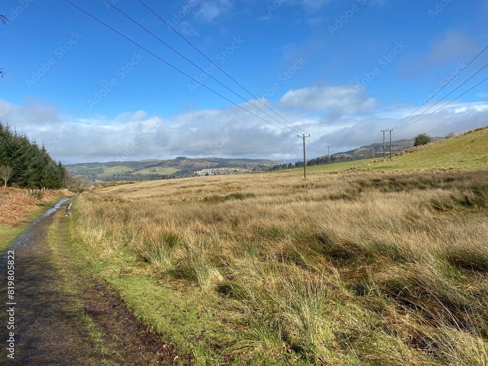 Dirt path running through a lush, green agricultural field with rolling hills in the background Dirt path running through a lush, green agricultural field with rolling hills in the background
