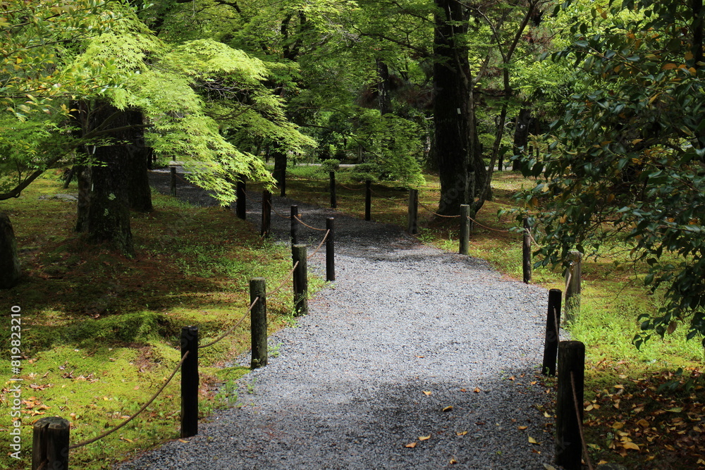 Moss garden in Seiryoji Temple, Kyoto, Japan Moss garden in Seiryoji Temple, Kyoto, Japan