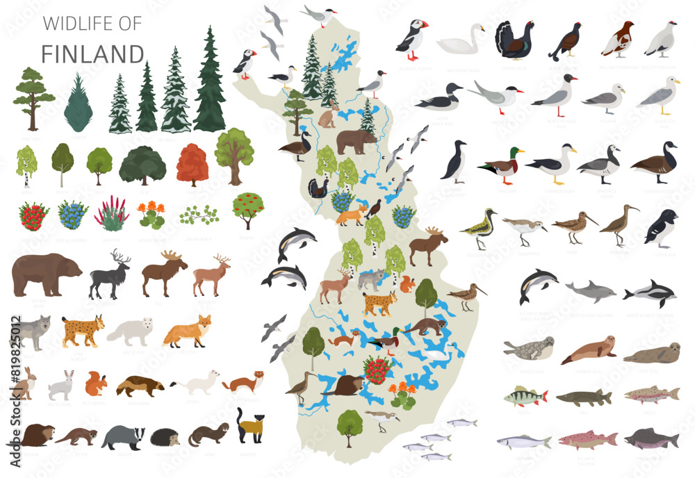 Obraz premium Flat design of Finland wildlife. Animals, birds and plants constructor elements isolated on white set. Build your own geography infographics collection