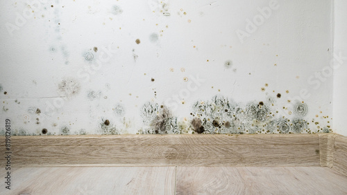 Cuadro en lienzo Mould and fungus growth on white wall