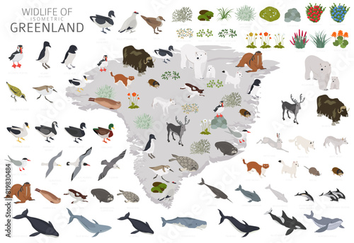 Isometric Greenlandic Geography. Design of Greenland wildlife. Animals, birds and plants constructor elements isolated on white set