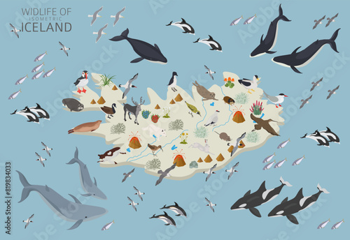 Isometric design of Iceland wildlife. Animals, birds and plants constructor elements isolated on white set. North Atlantic nature