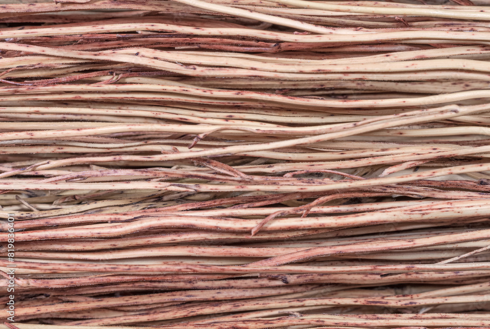 Fototapeta premium Sorghum broom fibers texture