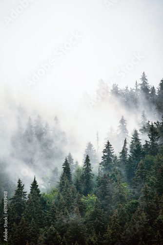 Misty mountain landscape