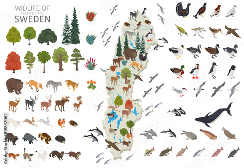 Sweden wildlife isometric geography. Animals, birds and plants constructor elements isolated on white set. Swedish nature infographic