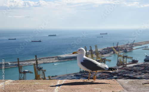 Seascape with the port of Barcelona and a seagull