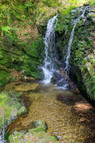                                                                                                                                                    2024   5             Goshuden Falls is located in the upper reaches of the Shiroyama River. There is a sad anecdote from the Warring States period. 