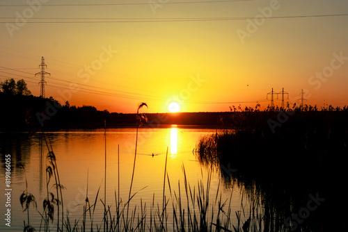 Sunset on a lake with a silhouette of reeds in the foreground