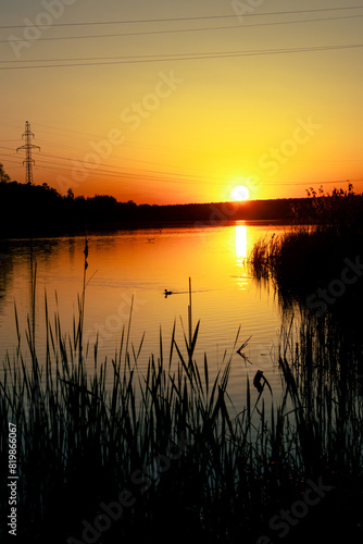 Sunset on a lake with a silhouette of reeds in the foreground
