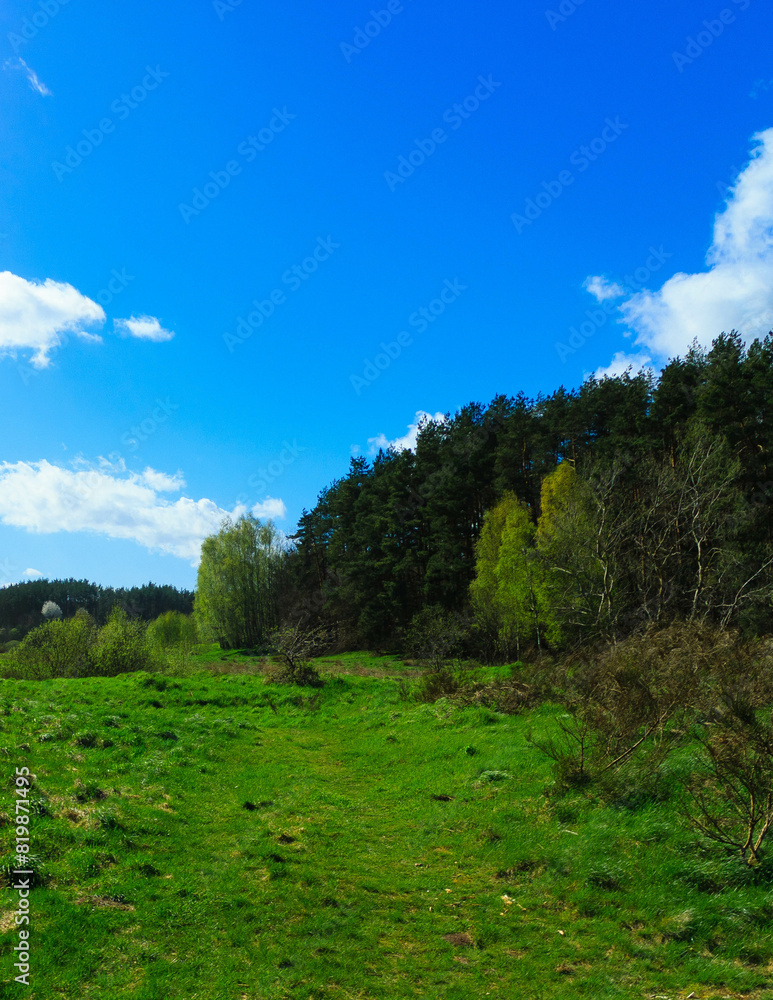 Wild, green meadow in forest. Kashubia Poland. Wild, green meadow in forest. Kashubia Poland.