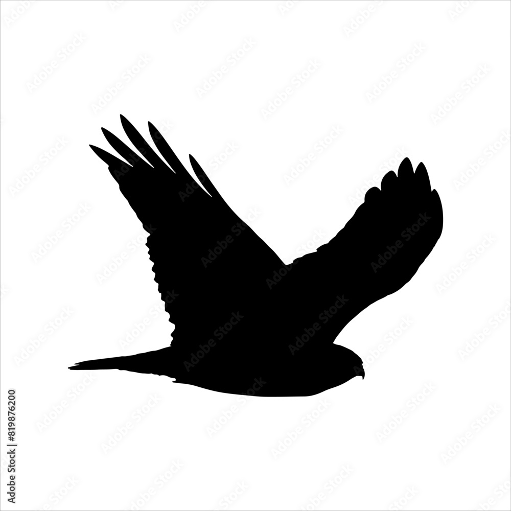 Black hawk silhouette isolated on white background. Hawk icon vector illustration design. Black hawk silhouette isolated on white background. Hawk icon vector illustration design.