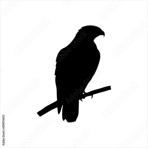 Hawk sitting branch silhouette isolated on white background. Hawk icon vector illustration design.