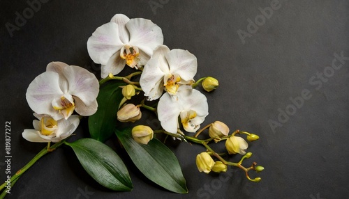 composition of orchid flowers on a black background