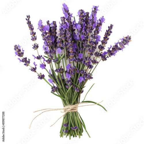 bouquet of lavender on a white background