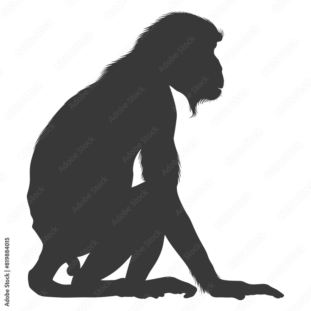 Silhouette Proboscis monkey animal black color only Silhouette Proboscis monkey animal black color only