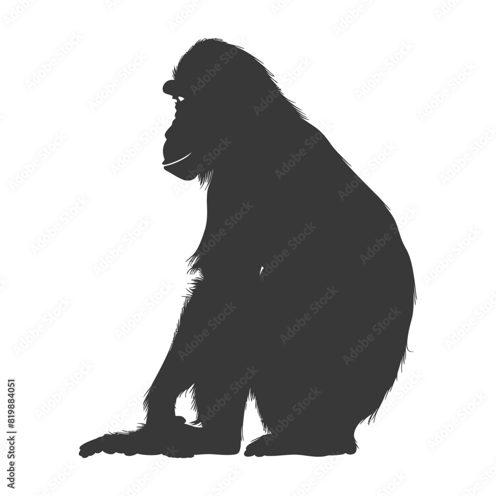 Silhouette Proboscis monkey animal black color only Silhouette Proboscis monkey animal black color only