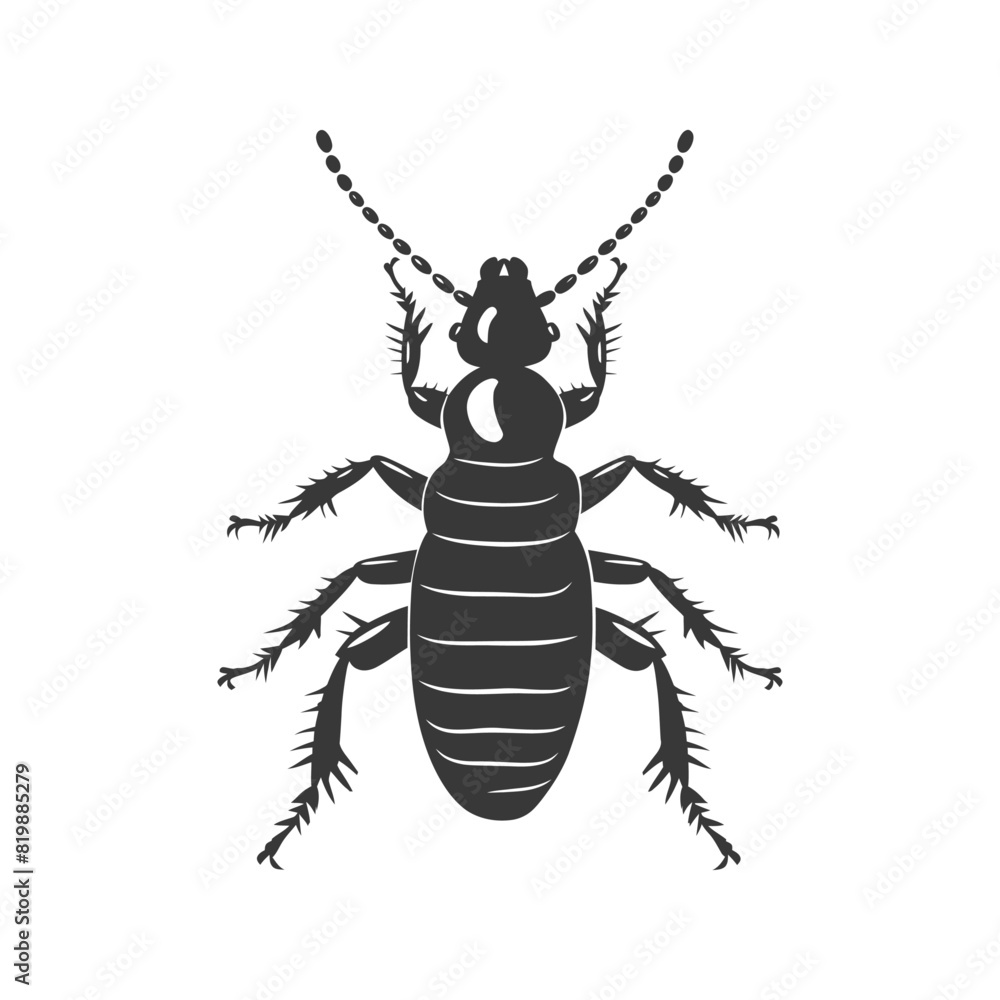 Silhouette termite animal black color only Silhouette termite animal black color only