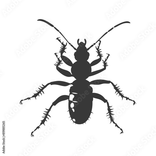 Silhouette termite animal black color only