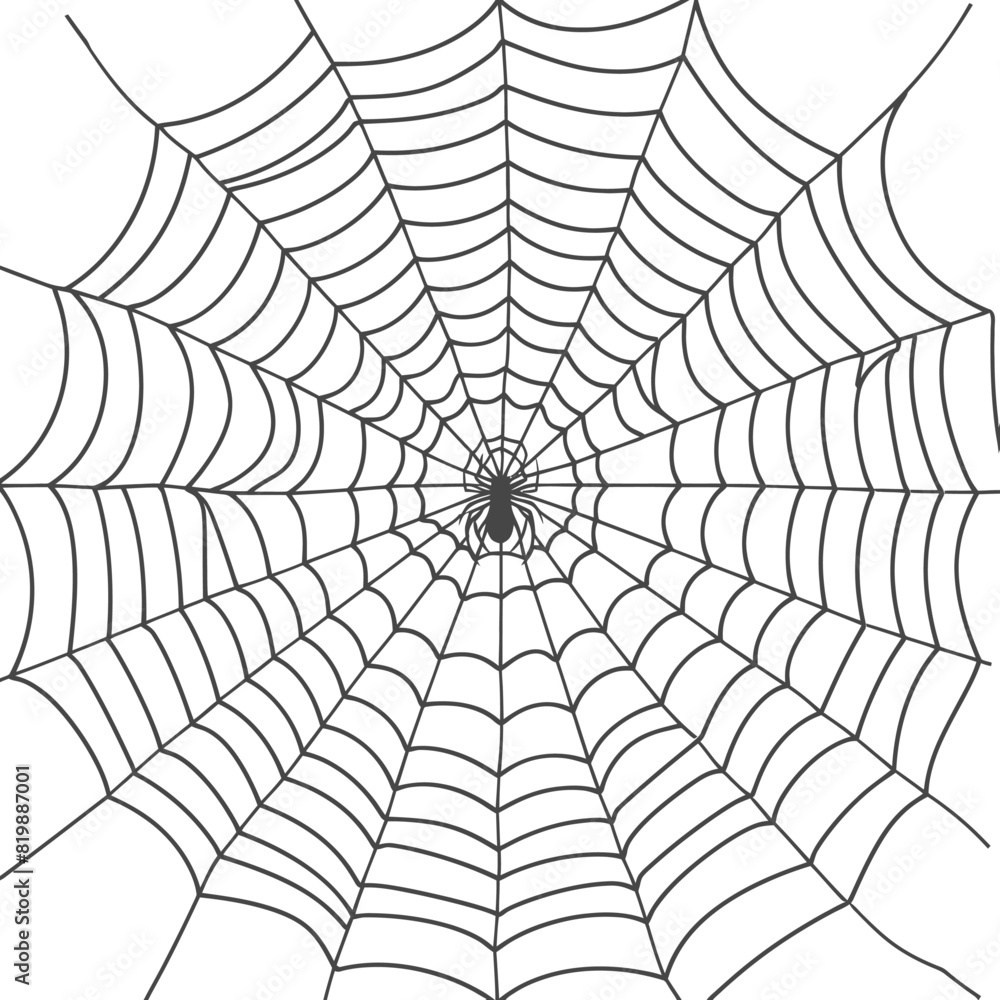 spider web black color only spider web black color only