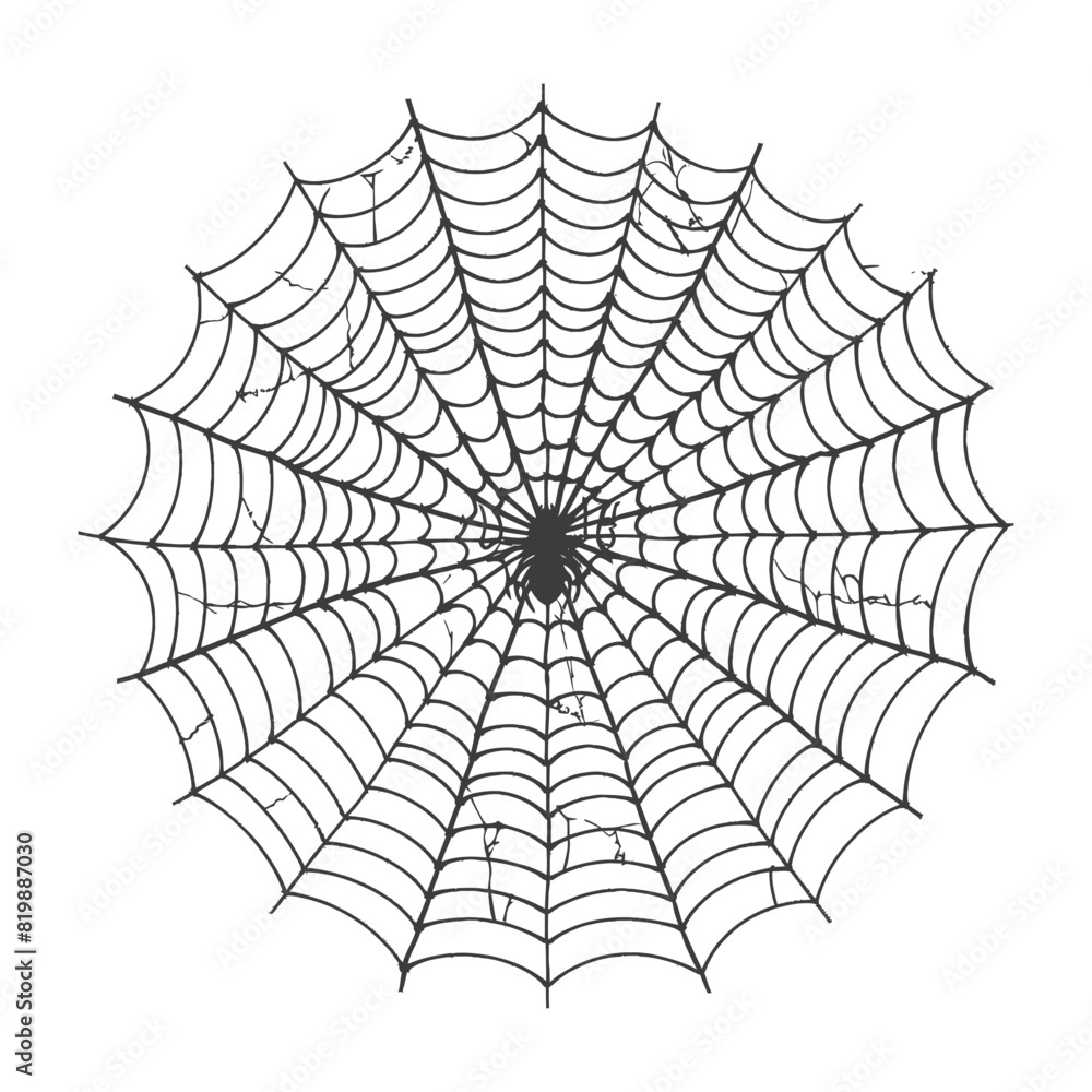 Obraz premium spider web black color only