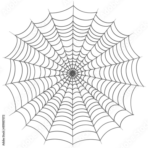 spider web black color only