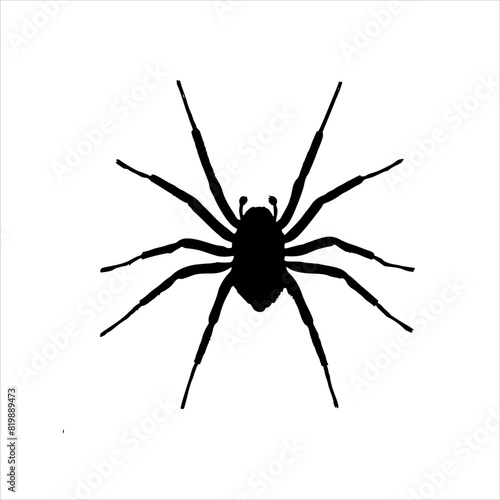 Cute spider silhouette isolated on white background. Spider icon vector illustration design.