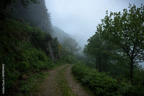 Картината върху платно landscape, in foggy rainy day, showing a path in a mountain covered in forest, s