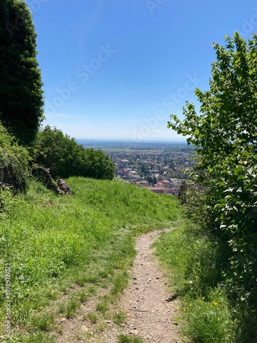 Vue sur Thann à partir des ruines du Château d'Engelbourg - l'Œil de la Sorcière  à Thann dans les Vosges - France - Europe photo