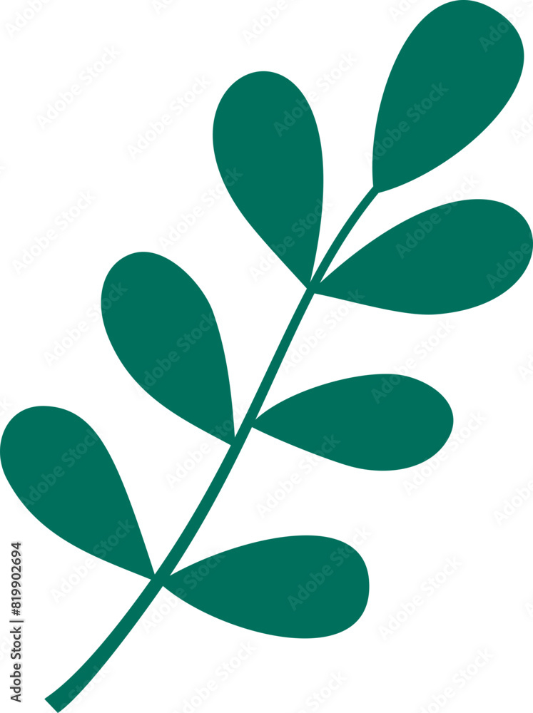 Eucalyptus leaves clipart vector