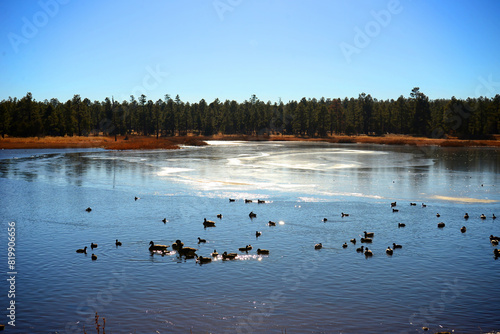 Wallpaper Mural Lake of the Woods Arizona Torontodigital.ca