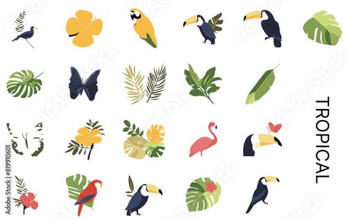 tropical icon pack, tropical color icons collection, tropical icon set