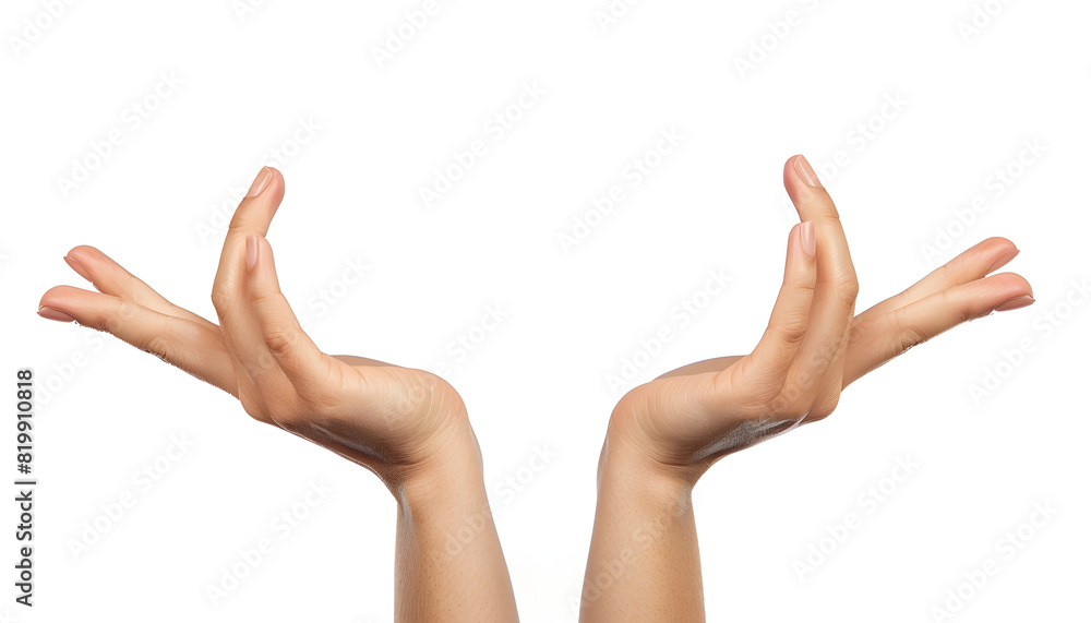 female hands isolated on white female hands isolated on white