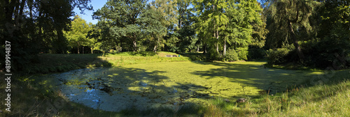 Pond in Ohlsdorf Cemetery in Hamburg  Europe 