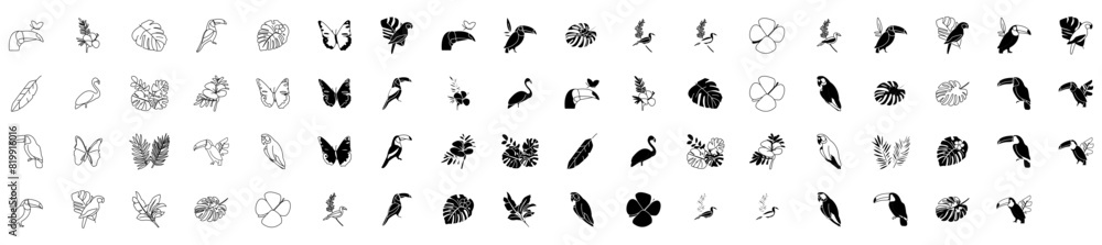 tropical icon pack, tropical line icons collection, tropical icon set